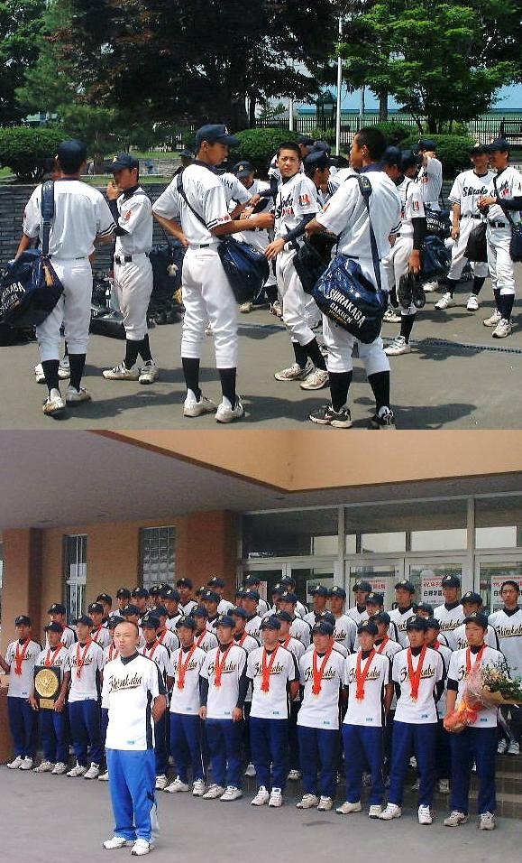 白樺！白樺！白樺！の毎日です。