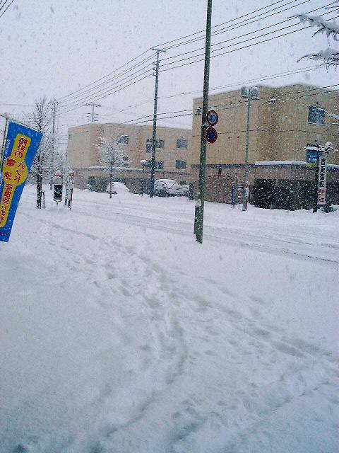 大雪にショック！