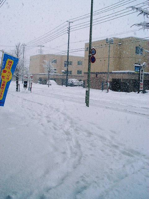 大雪にショック！