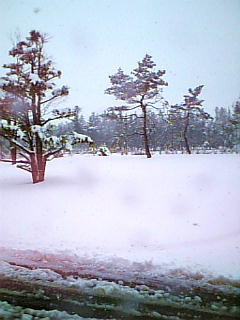 雪の一日でした。